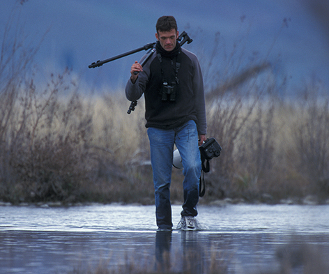 Felix has just been photographing black stilts in New Zealand. He was wading in ice-cold water in his jogging shoes only.