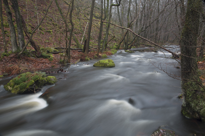 Fast flowing River Skärån